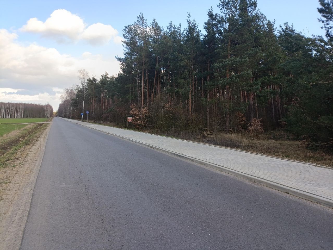 Działka rolna Lubowidz, ul. Leśna. Zdjęcie 14