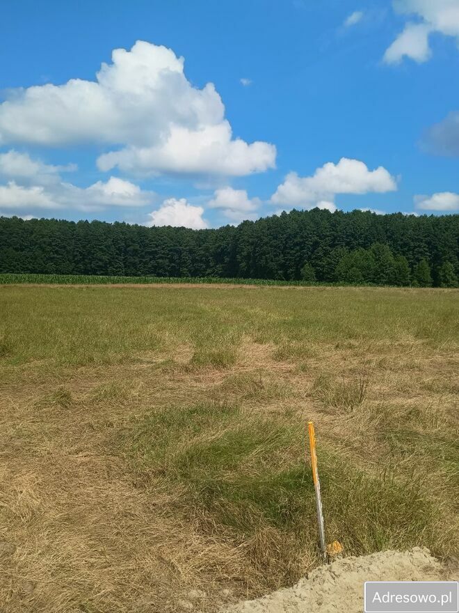 Działka rolna Jerzwałd. Zdjęcie 2