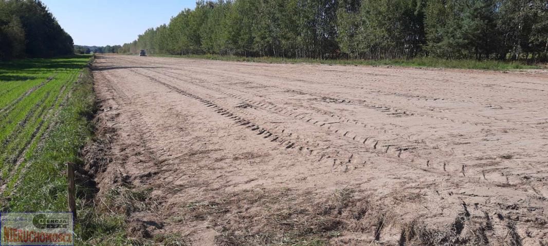 Działka budowlana Grabina. Zdjęcie 13