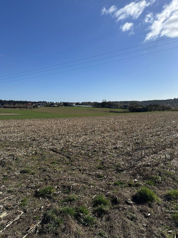 Działka budowlana Trzyciąż. Zdjęcie 5