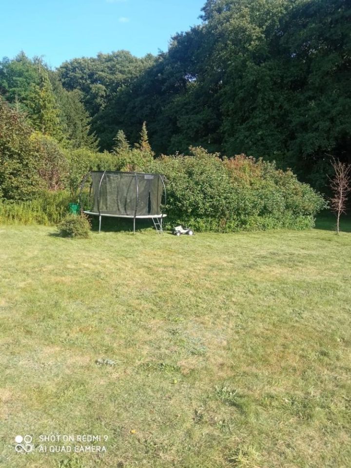 Działka Siecino. Zdjęcie 8