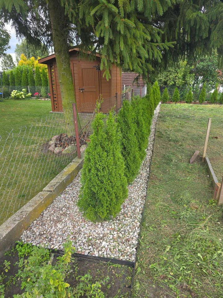 Działka rod Annowo. Zdjęcie 7