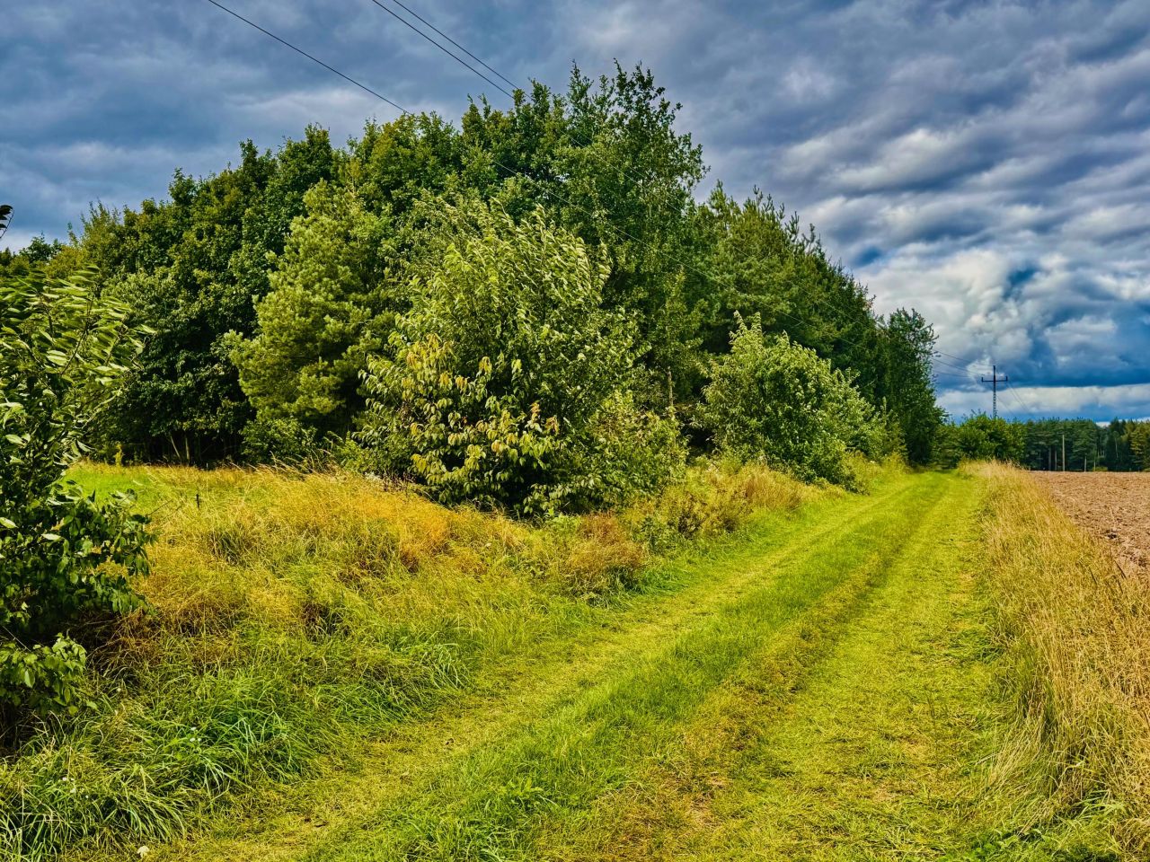 Działka siedliskowa Drygały, ul. Polna. Zdjęcie 11