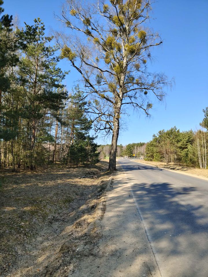 Działka budowlana Zawady, brak. Zdjęcie 3