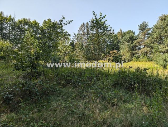 Działka rolna Ozorowice. Zdjęcie 3