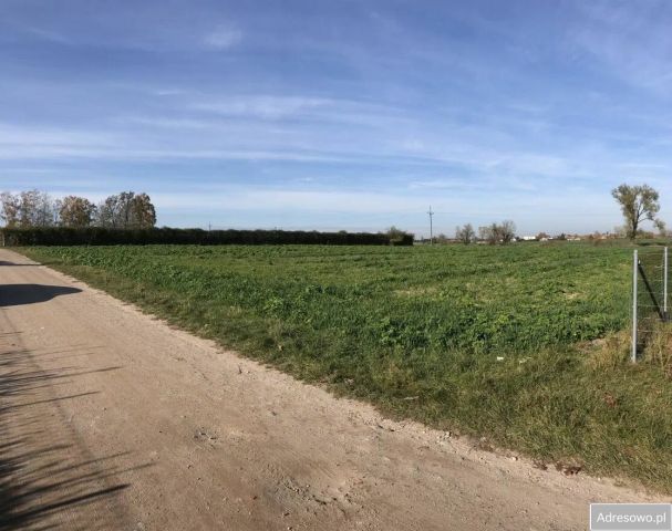 Działka rolna Paczkowo, ul. Altanowa. Zdjęcie 1