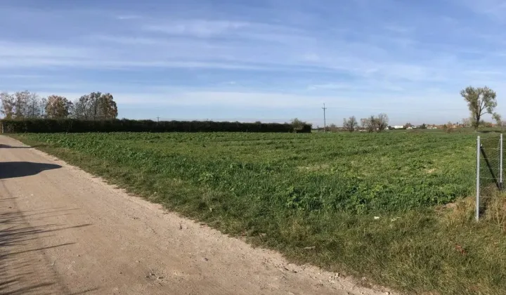 Działka rolna Paczkowo, ul. Altanowa