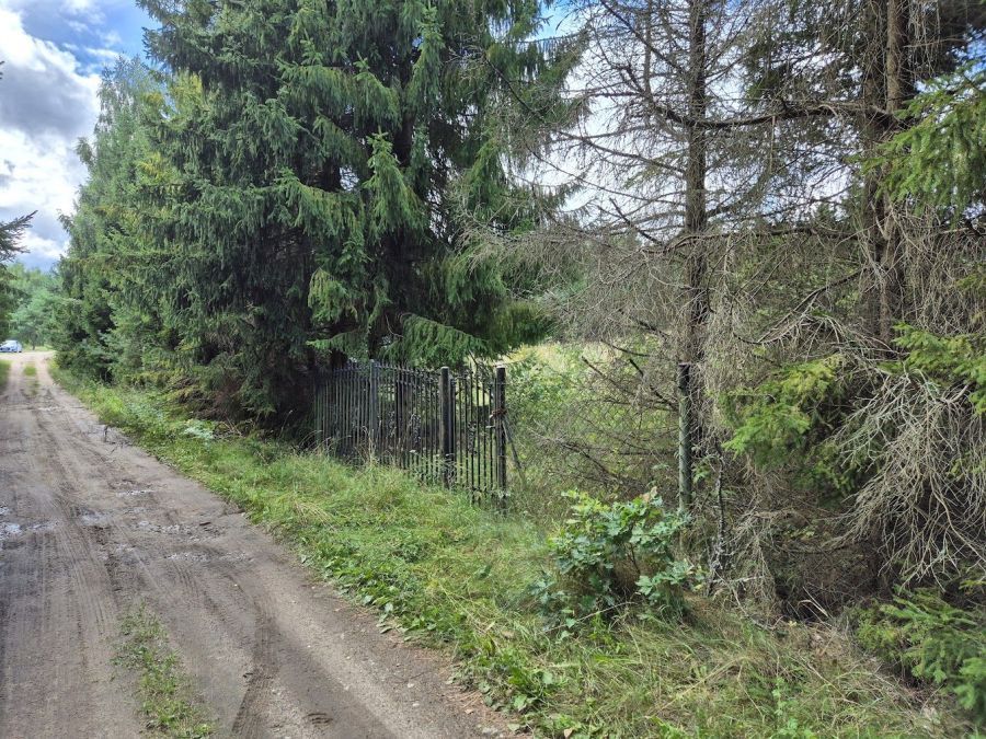 Działka rekreacyjna Bożepole Królewskie. Zdjęcie 2