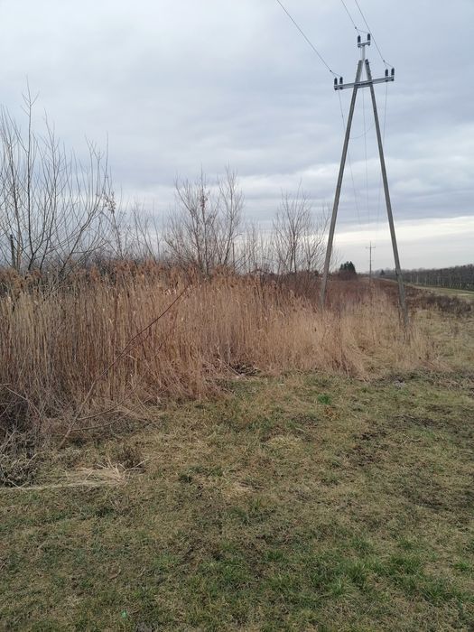 Działka rolna Wólka Dworska. Zdjęcie 4