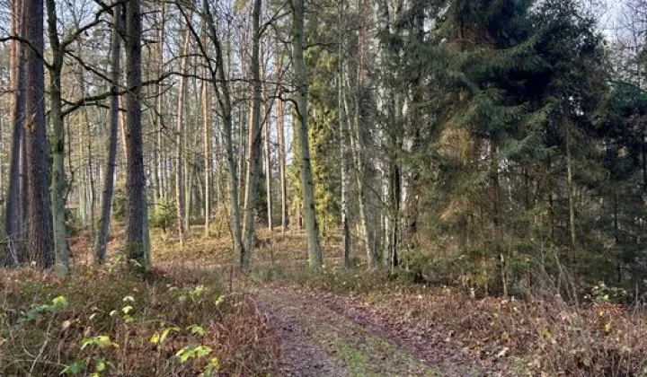 Działka budowlana Osie, ul. Wybudowanie pod Jaszcz