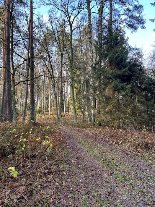 Działka budowlana Osie, ul. Wybudowanie pod Jaszcz