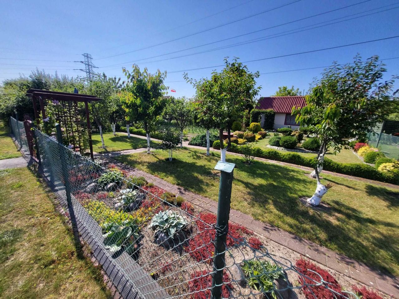 Działka rod Szczecin Pomorzany, ul. Białowieska. Zdjęcie 4