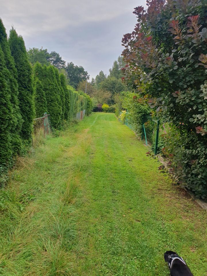 Działka rod Szczecin, ul. Emila Zegadłowicza. Zdjęcie 9