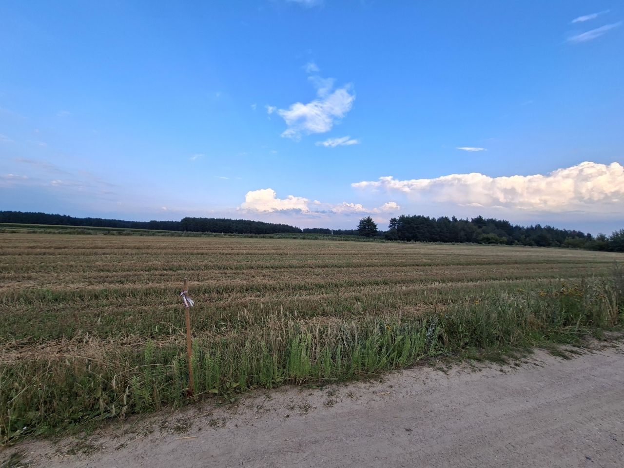 Działka budowlana Czerwone, Czerwone kolonia. Zdjęcie 2