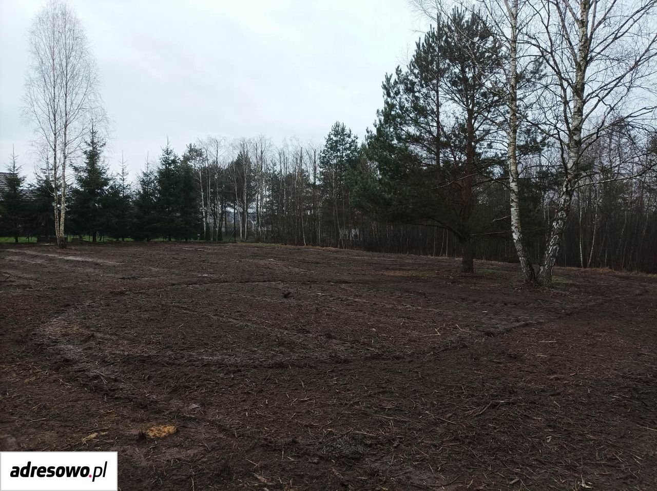 Działka budowlana Wola Ducka, ul. Wiosenna. Zdjęcie 5