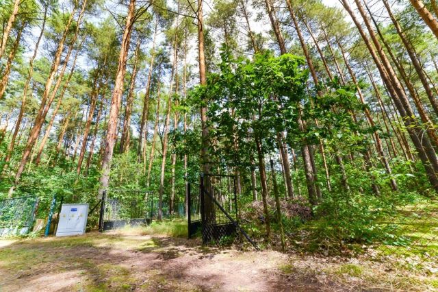 Działka rekreacyjna Poddębie, ul. Radosna. Zdjęcie 20