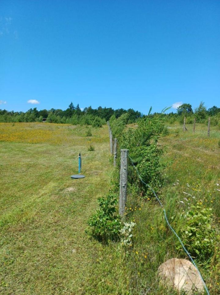 Działka budowlana Nowa Wieś Przywidzka, ul. Zielona. Zdjęcie 2