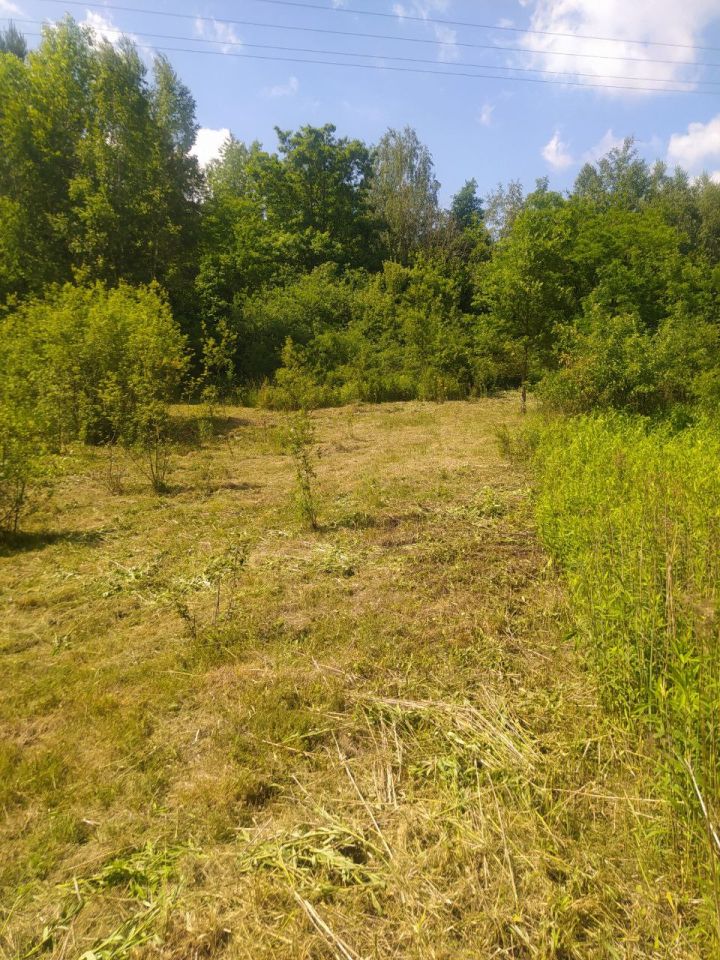 Działka budowlana Janopol. Zdjęcie 6