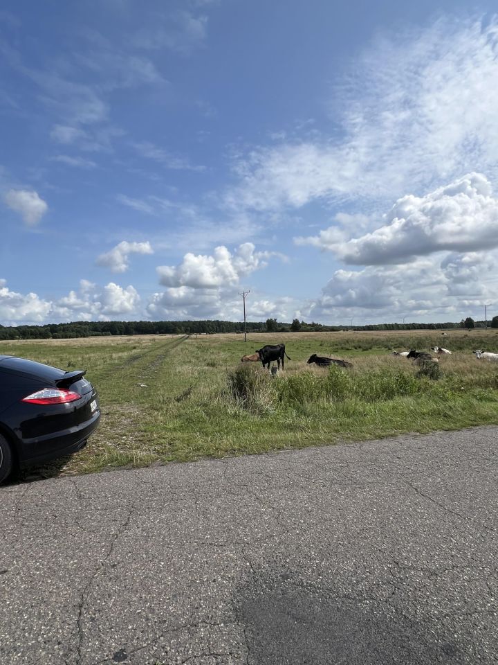 Działka rolna Krupy. Zdjęcie 5