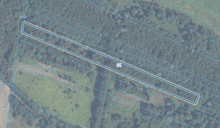 Działka leśna Miętne, ul. Osiecka