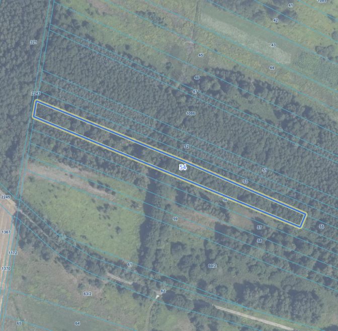 Działka leśna Miętne, ul. Osiecka. Zdjęcie 1