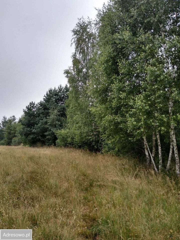 Działka rekreacyjna Nowa Jedlanka. Zdjęcie 2