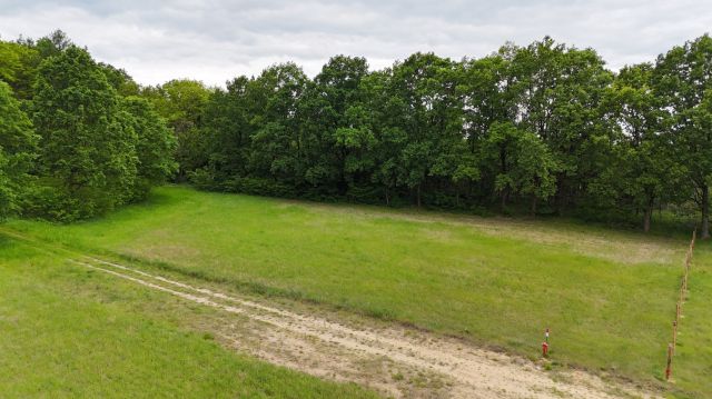 Działka rolno-budowlana Grabowiec. Zdjęcie 8