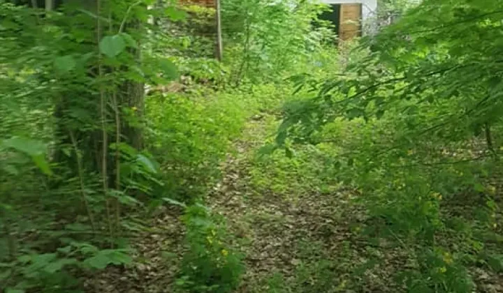 Działka budowlana Zalesie Górne, ul. Młodych Wilcząt