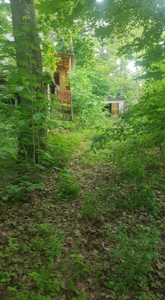 Działka budowlana Zalesie Górne, ul. Młodych Wilcząt