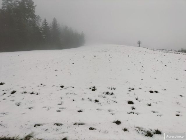 Działka budowlana Brzezna. Zdjęcie 1