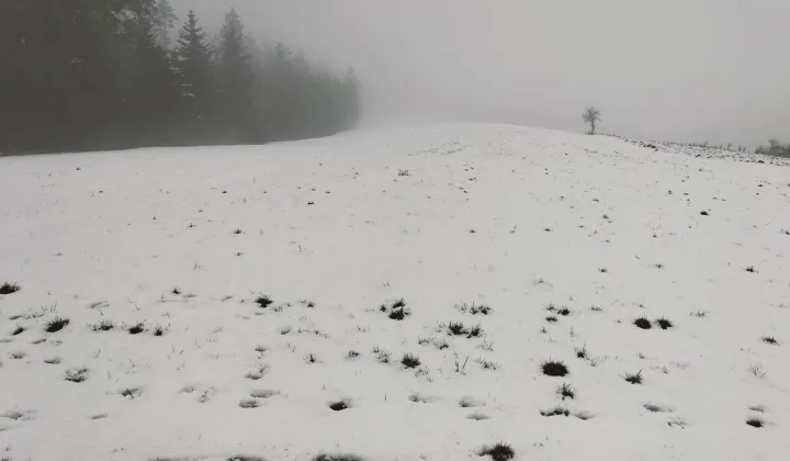 Działka budowlana Brzezna