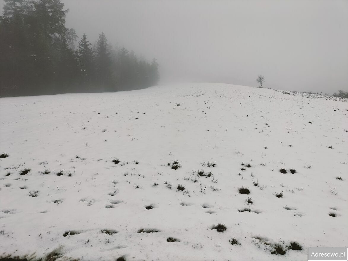 Działka budowlana Brzezna. Zdjęcie 1