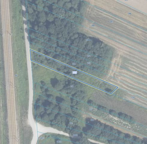 Działka leśna Miętne, ul. Osiecka. Zdjęcie 1