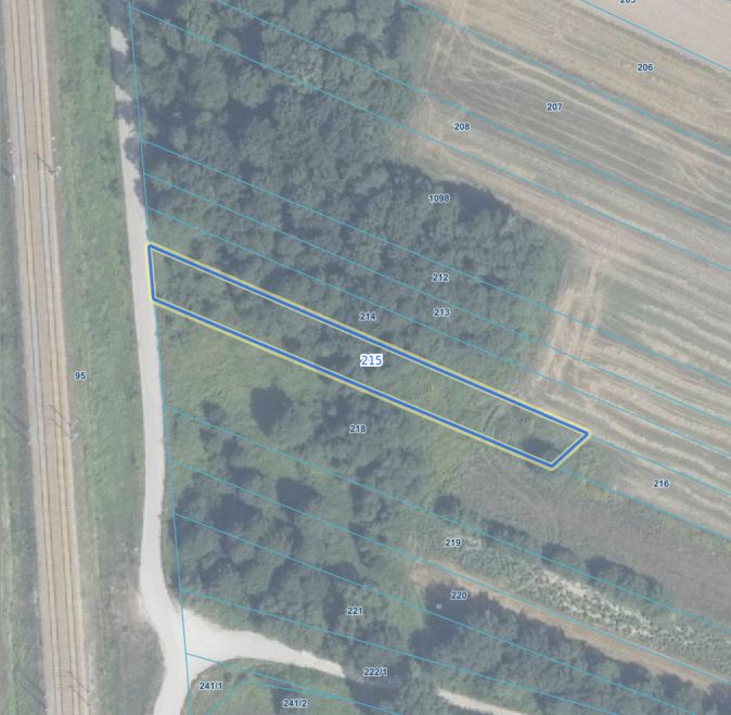 Działka leśna Miętne, ul. Osiecka. Zdjęcie 1