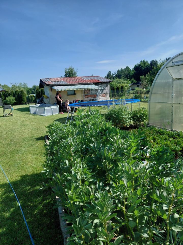 Działka rod Grochowiska. Zdjęcie 13