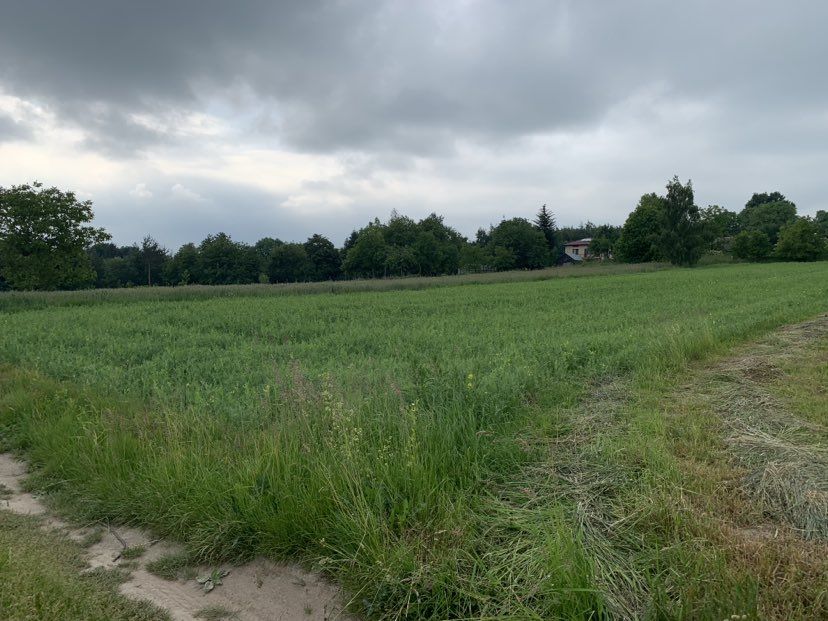 Działka rolno-budowlana Majdan Górny Majdan Górny Pierwszy. Zdjęcie 4