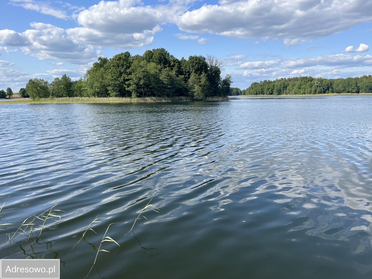 Działka rolno-budowlana Kukówko. Zdjęcie 2