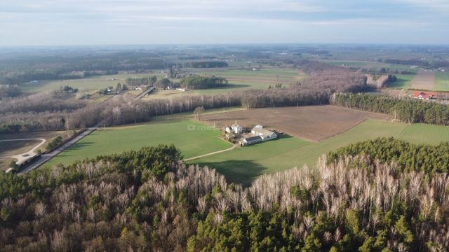 Działka budowlana Zalesie Borowe. Zdjęcie 11