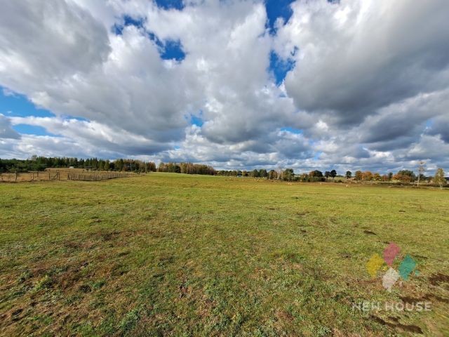 Działka rolna Gamerki Wielkie. Zdjęcie 2