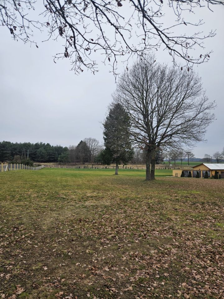 dom wolnostojący Rymań. Zdjęcie 5