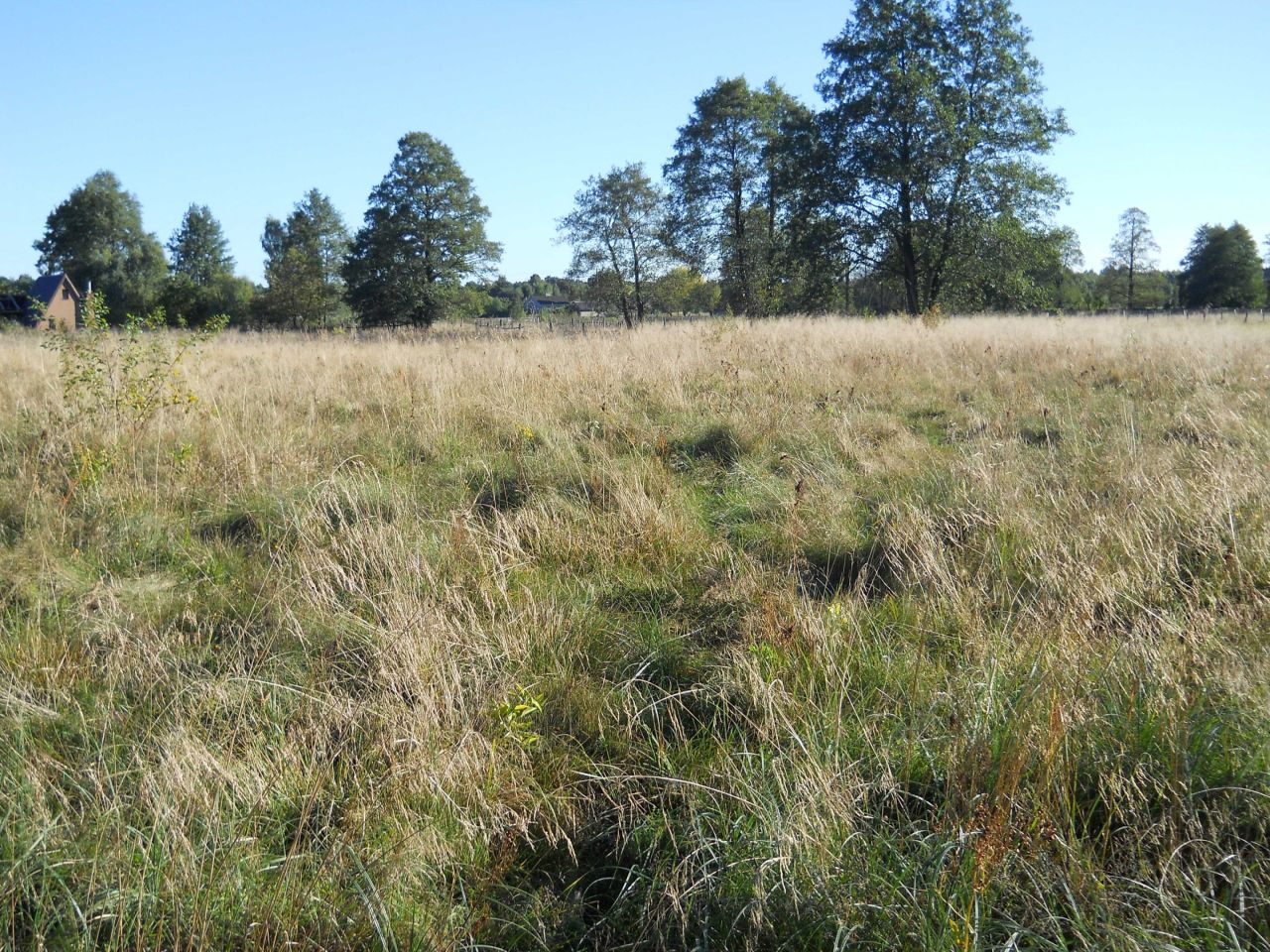 Działka budowlana Sokule. Zdjęcie 4