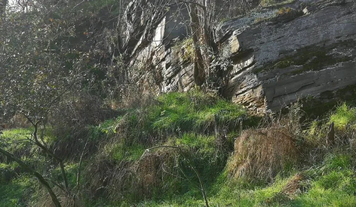 Działka inwestycyjna Jawor