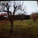 Działka rod Lubniewice. Zdjęcie 1