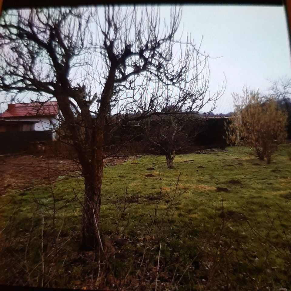 Działka rod Lubniewice. Zdjęcie 2