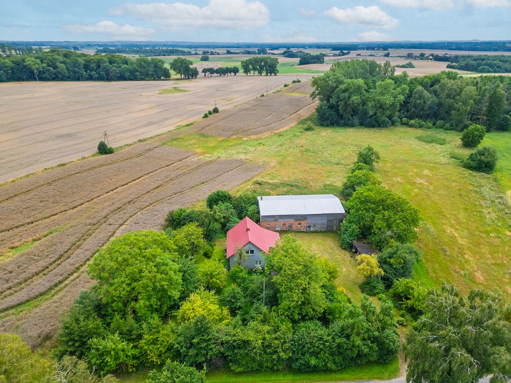 Działka rolna Sielsko. Zdjęcie 5