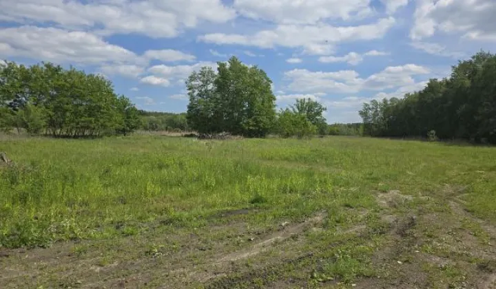 Działka inwestycyjna Kobyłka, ul. Gospodarcza