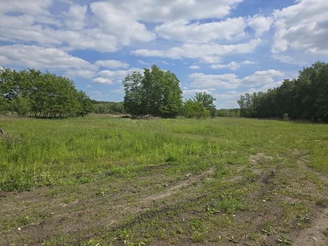 Działka inwestycyjna Kobyłka, ul. Gospodarcza. Zdjęcie 4