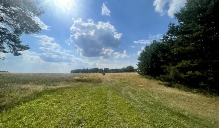 Działka budowlana Kobyla Góra