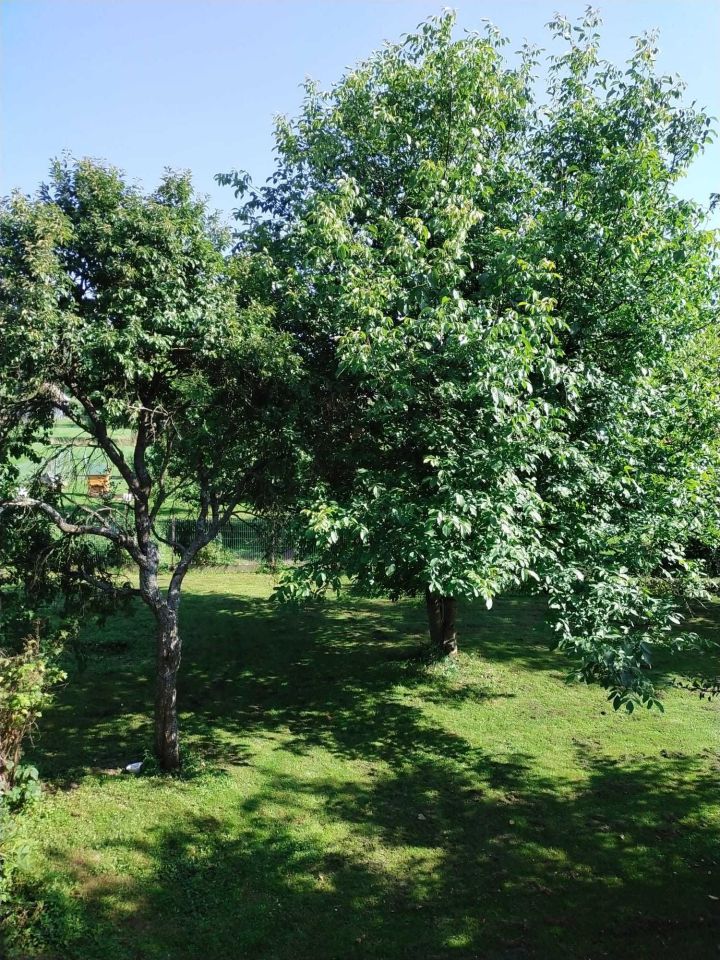 dom wolnostojący Ujsoły. Zdjęcie 6