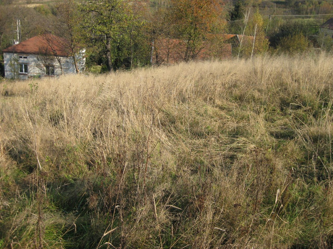 Działka rolna Błażowa Miasto, ul. Jagiellońska. Zdjęcie 6
